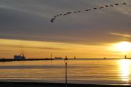 view from front bedroom window