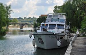 C'est la Vie on damaged pontoon