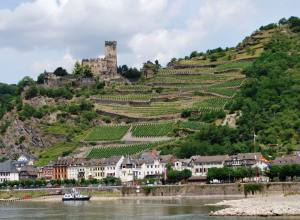 Great view - Castle -Vine Yards- Village- Rhine and Boat
