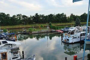 Gates on Yachthafen Braunschweig Marina