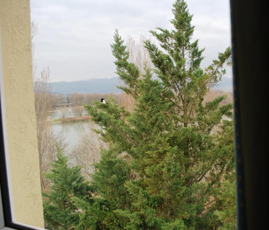 only view of Rhone from Motel bedroom